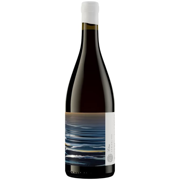 Trizanne Elim Syrah 2024 750ml